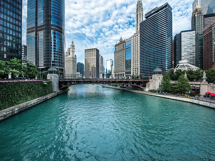 Chicago River View