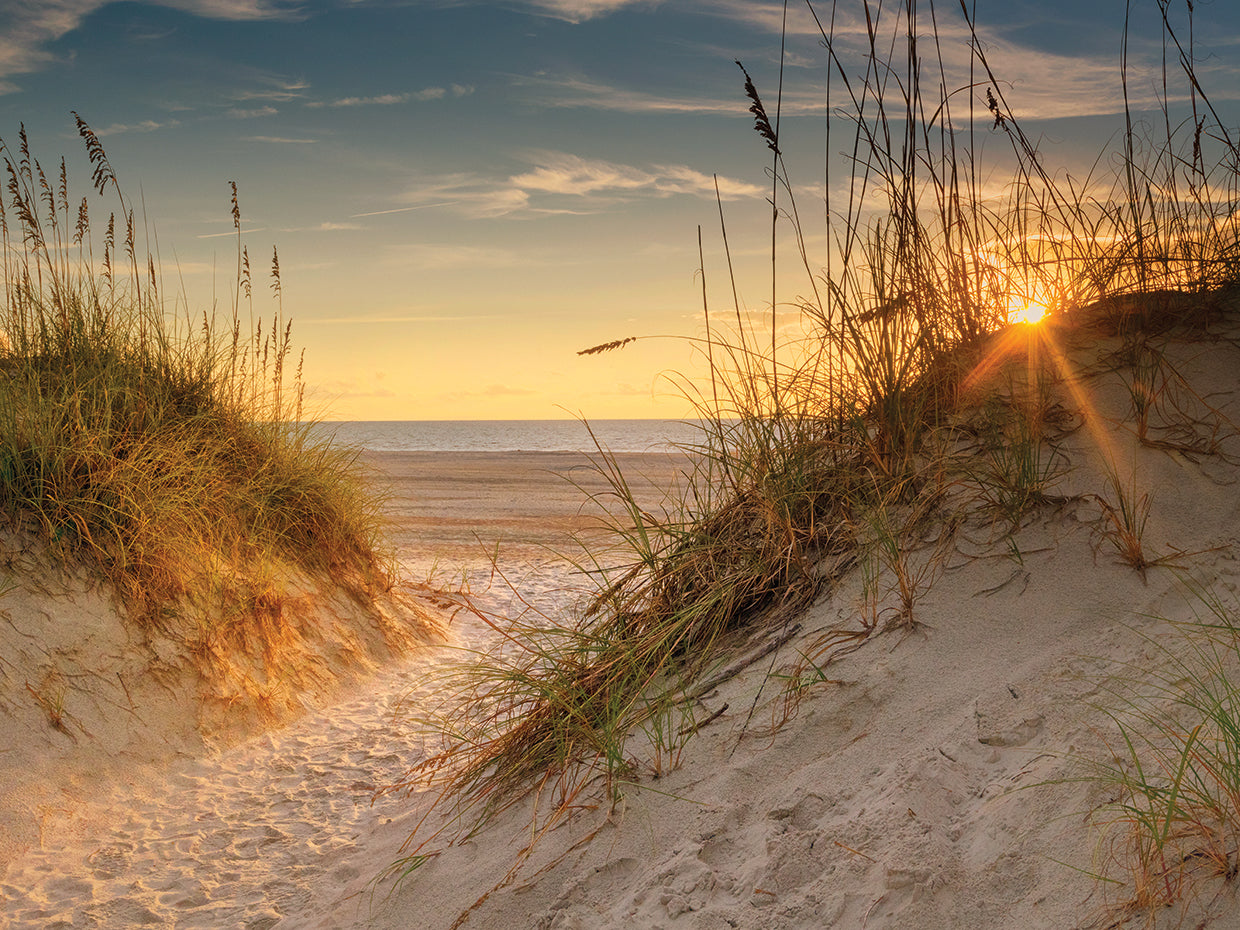 Coastal Dunes