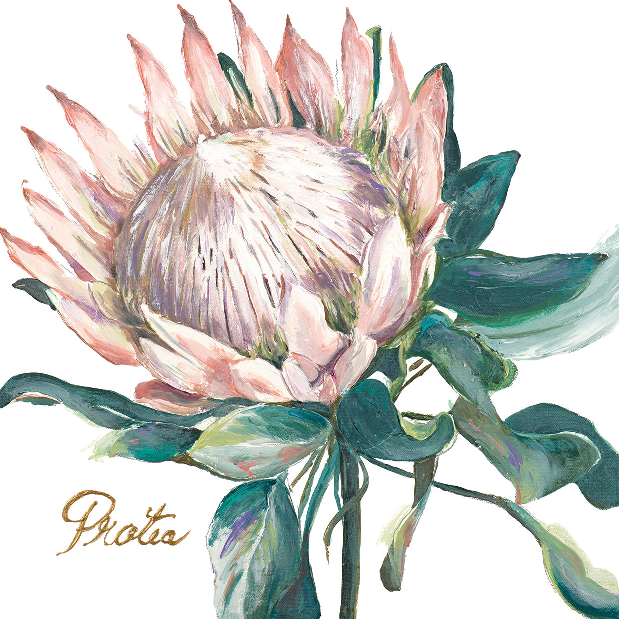 Protea I