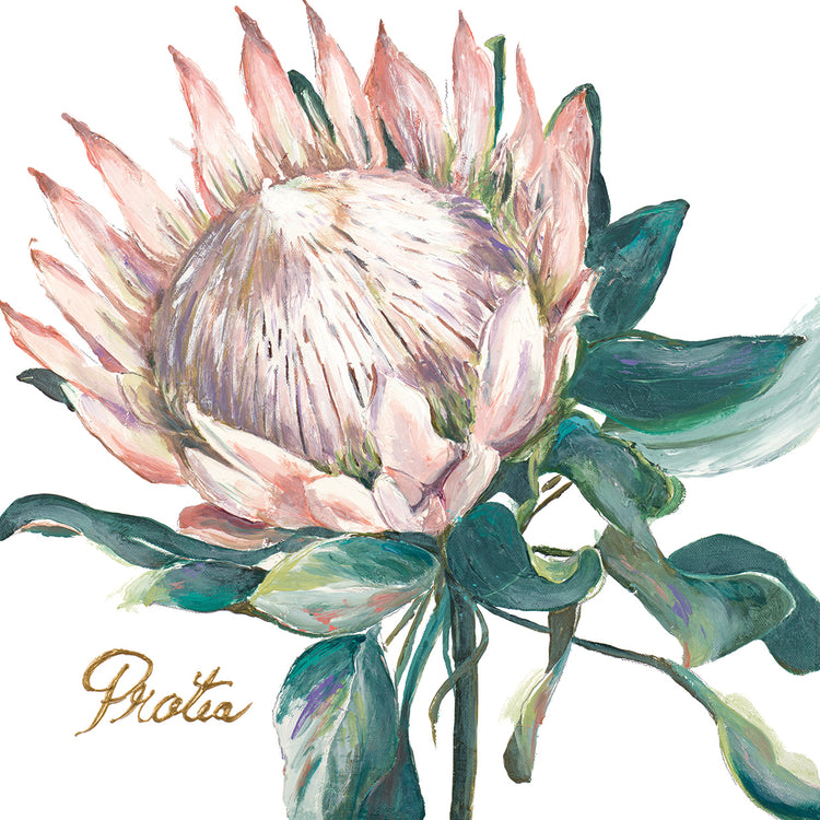 Protea I
