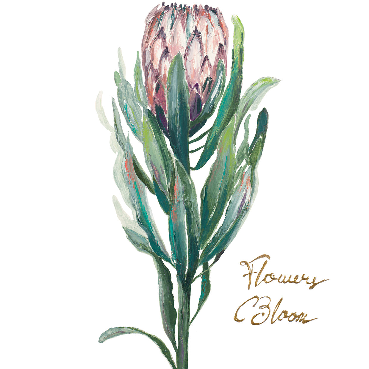 Protea II