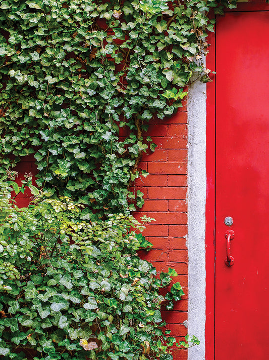 Red Garden Door Canvas Art