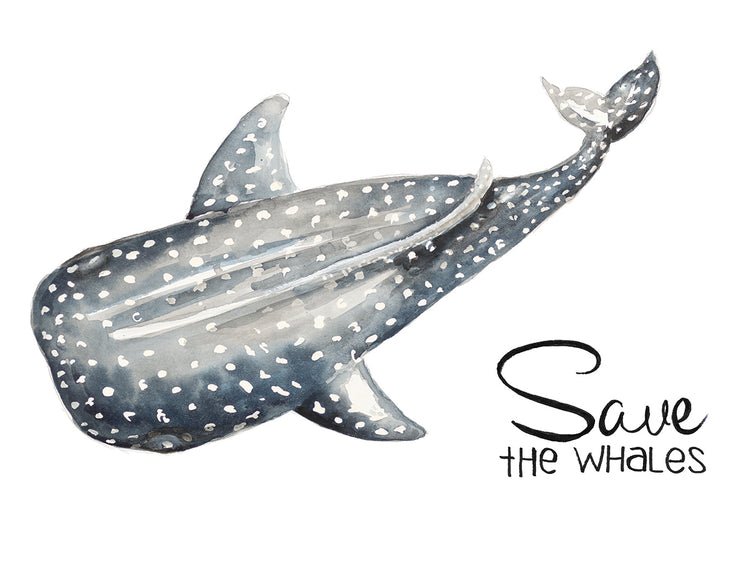Save the Whales