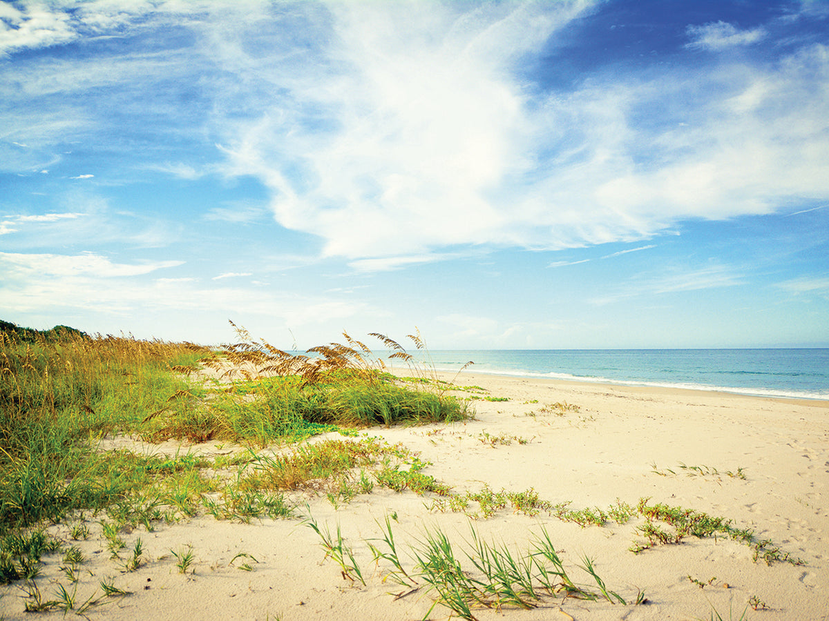 Shores View