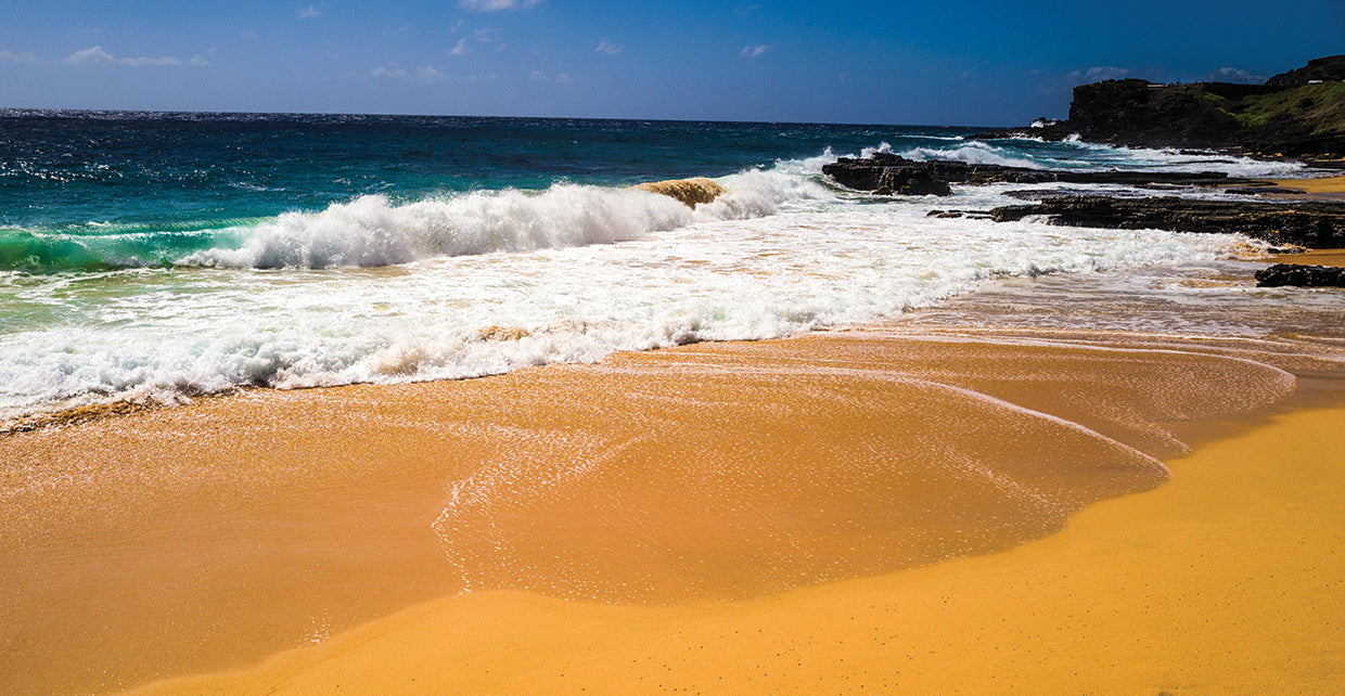 Oahu Shore Waves