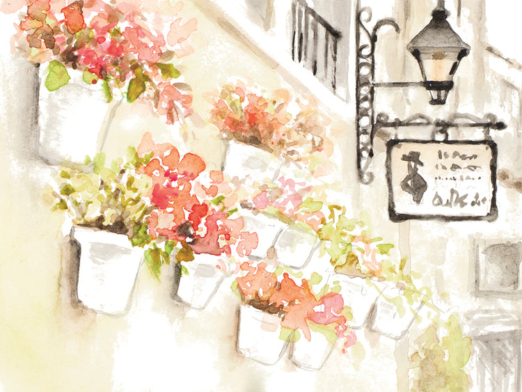Paris Flowerpots
