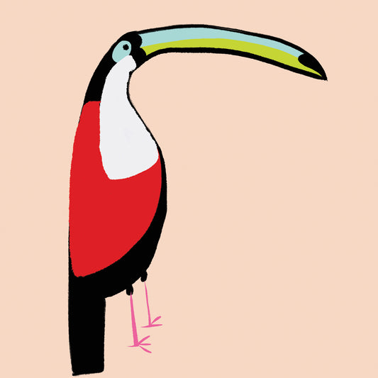Abstract Toucan