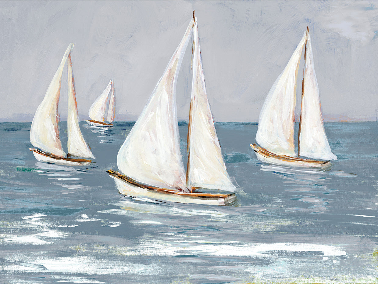Sailing Calm Waters I