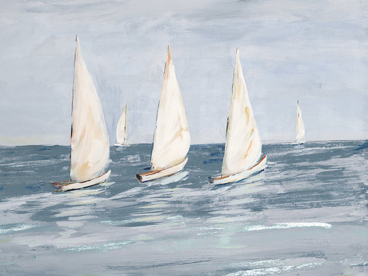 Sailing Calm Waters II