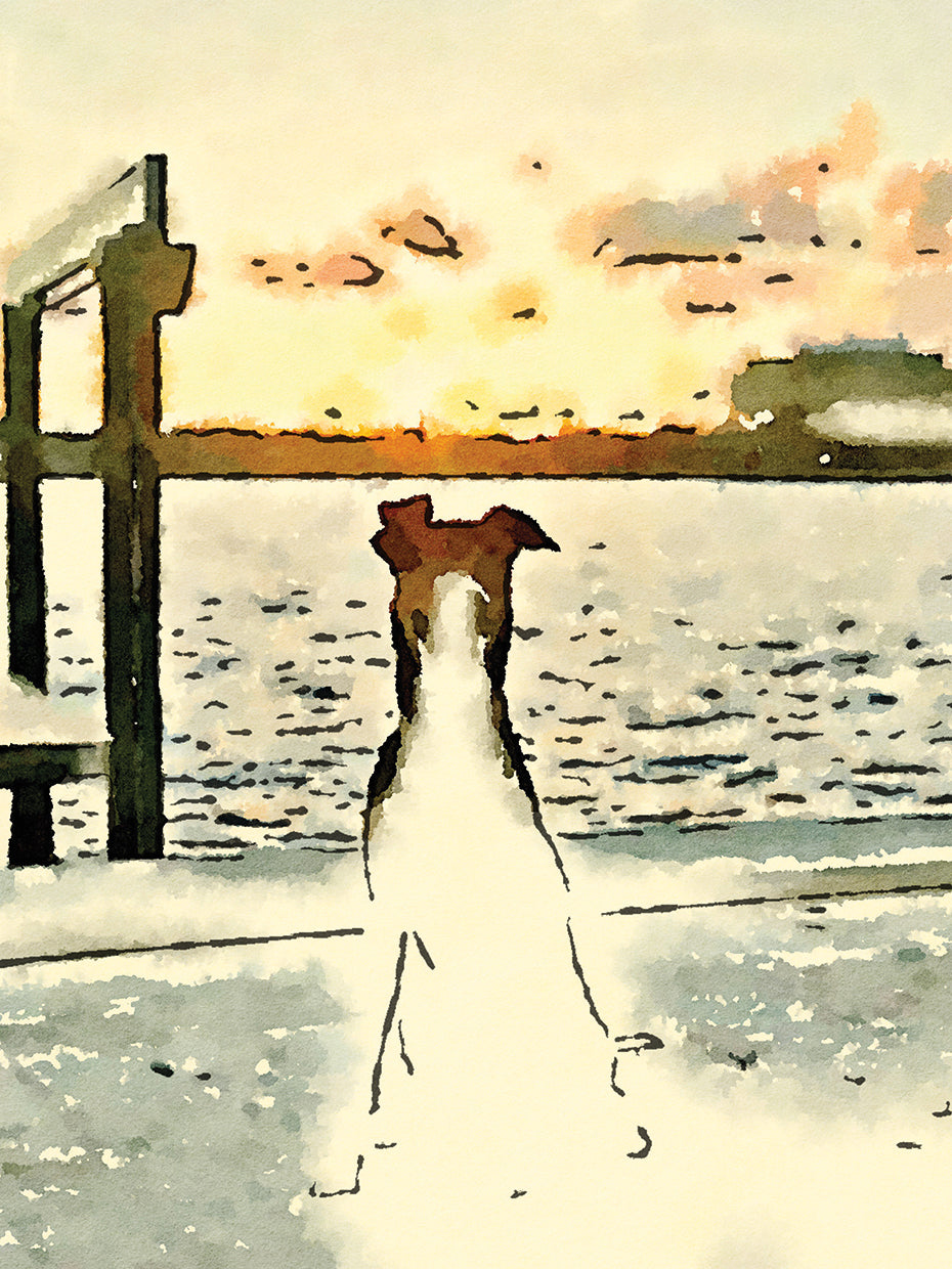 Paws At Sunset