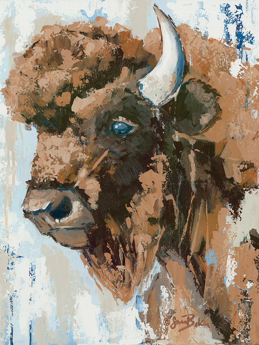 Boone the Bison Canvas Art