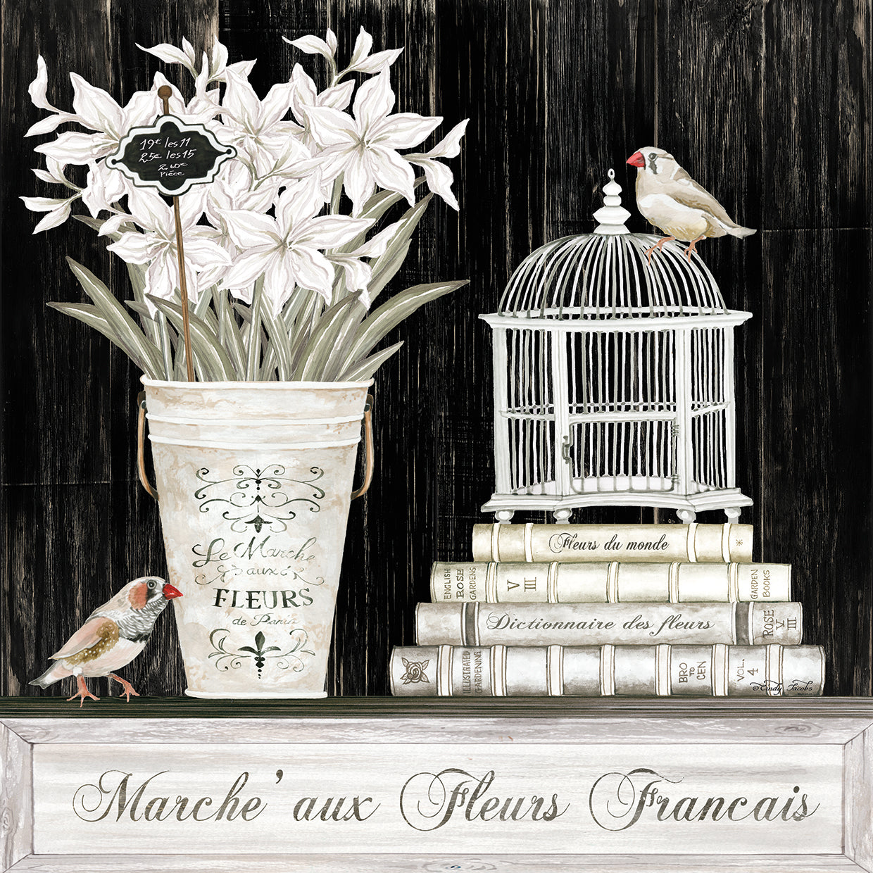 Amaryllis Still Life