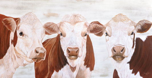 The Herefords Canvas Print