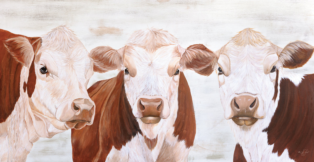 The Herefords