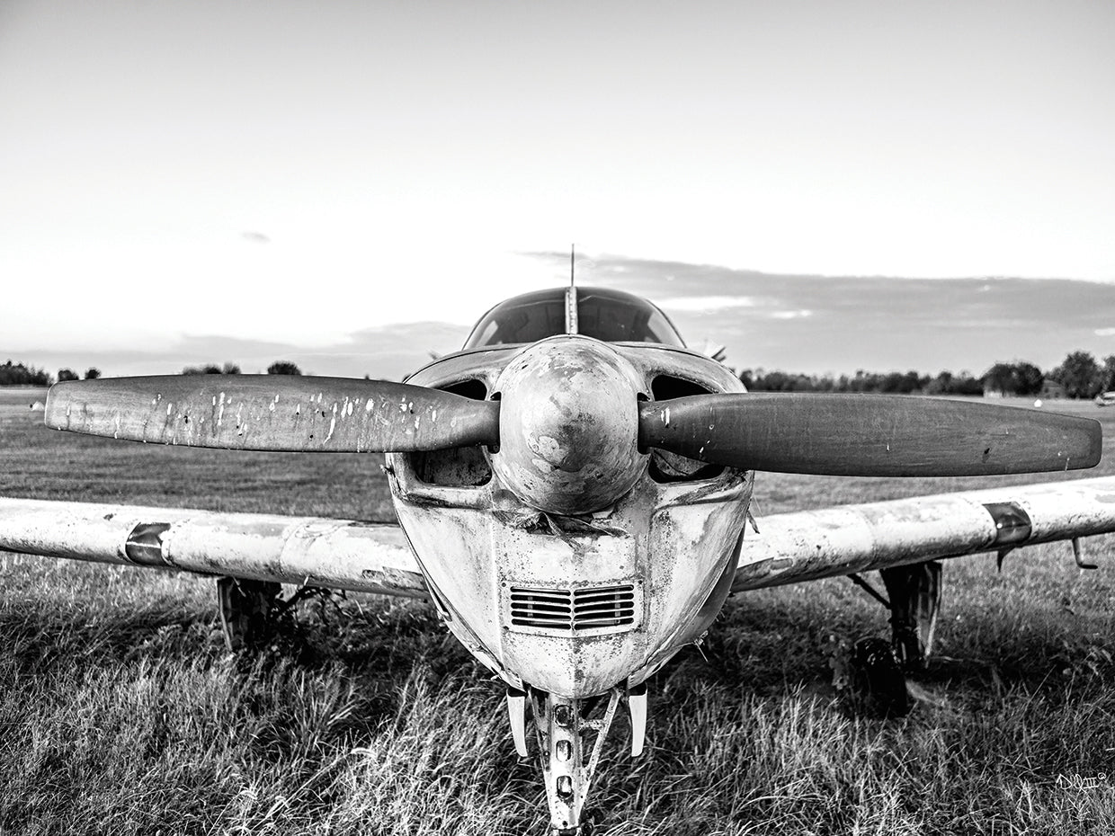Last Flight II