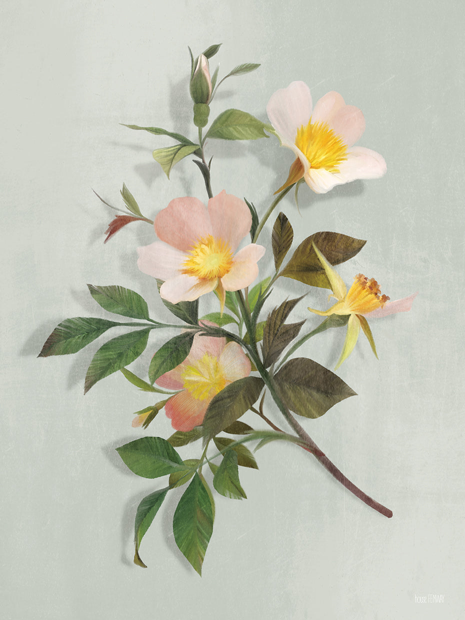 Primrose Branch