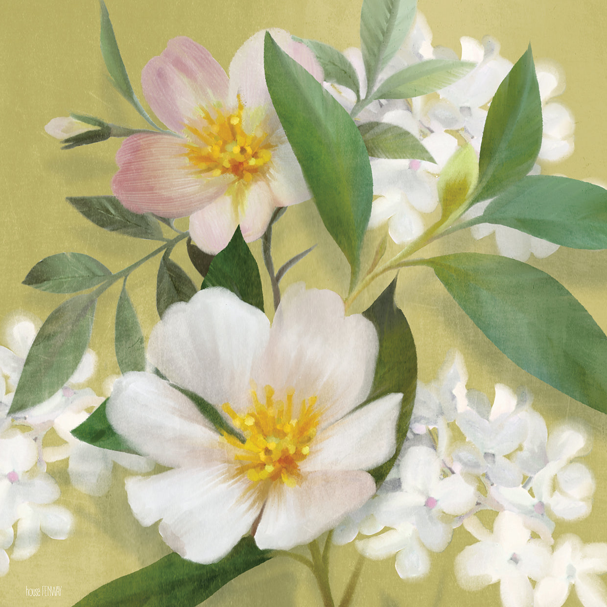 Spring Primrose