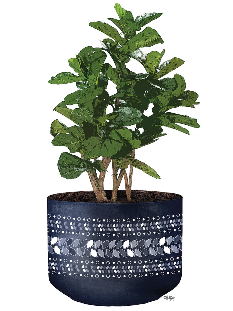 Blue Potted Fig Tree
