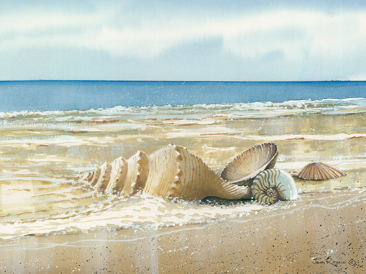 Seashells