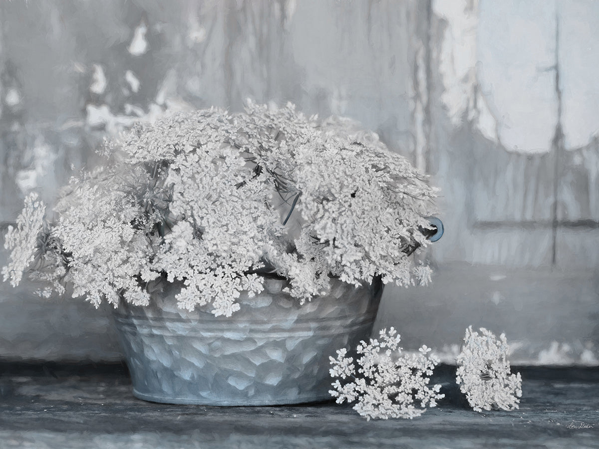Queen Anne's Lace I