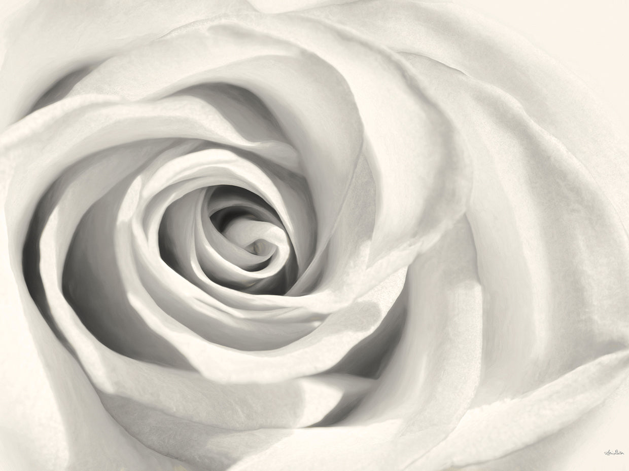 Rose II