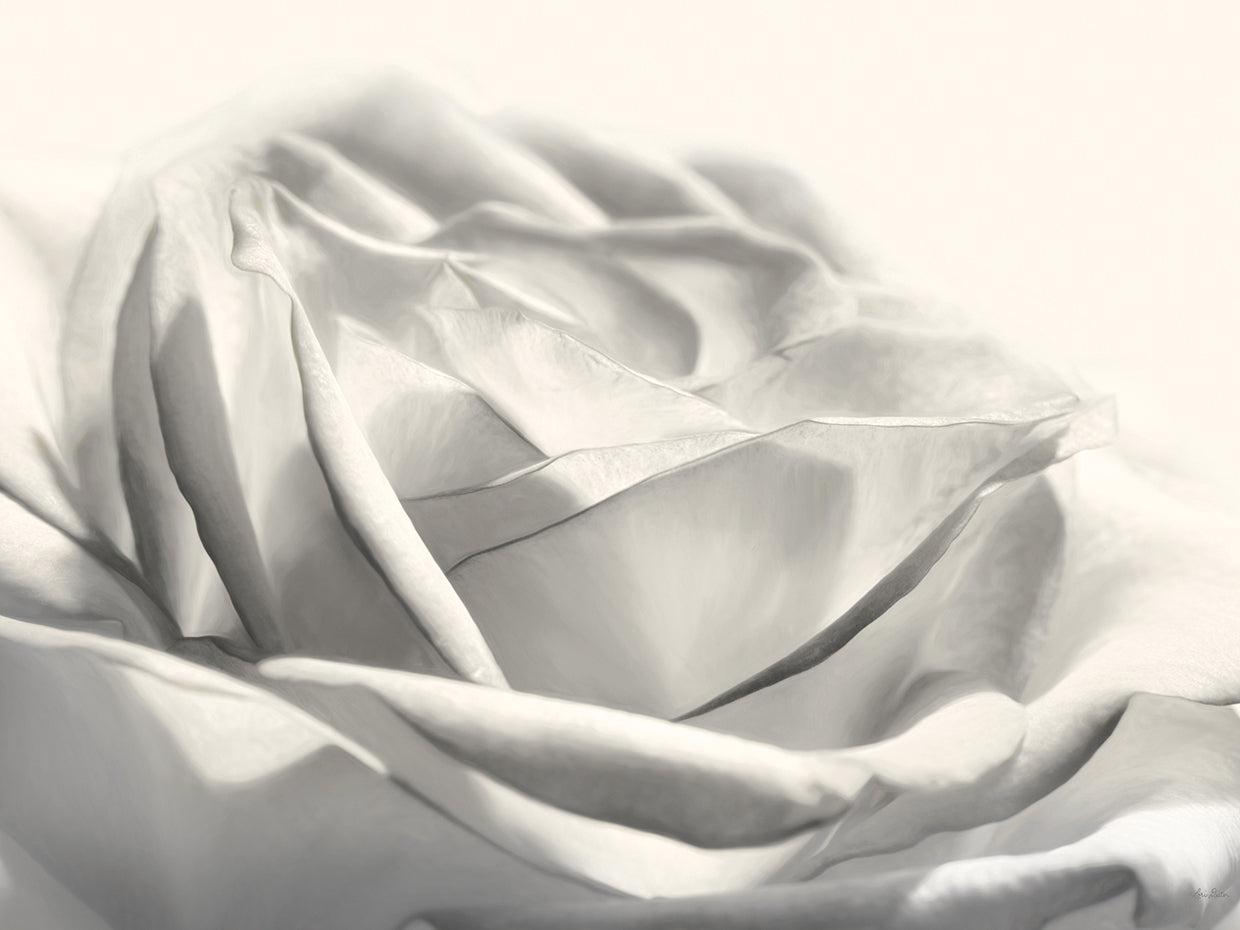 Rose III