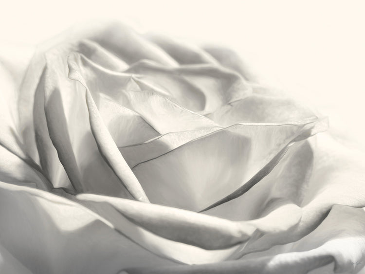 Arte de la lona de Rose III