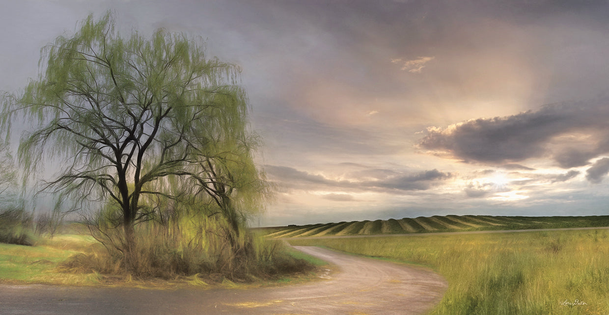 Willow Lane