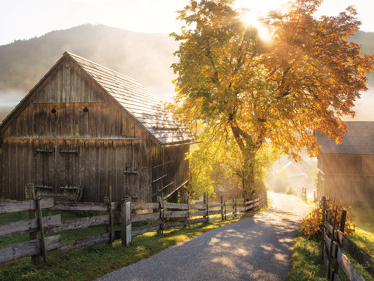 Autumn Road