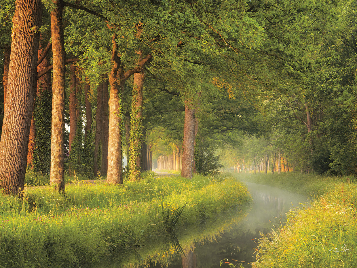 Spring Morning