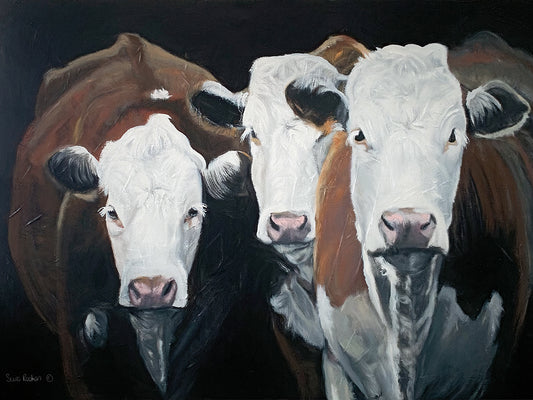 Hereford Gathering Canvas Art