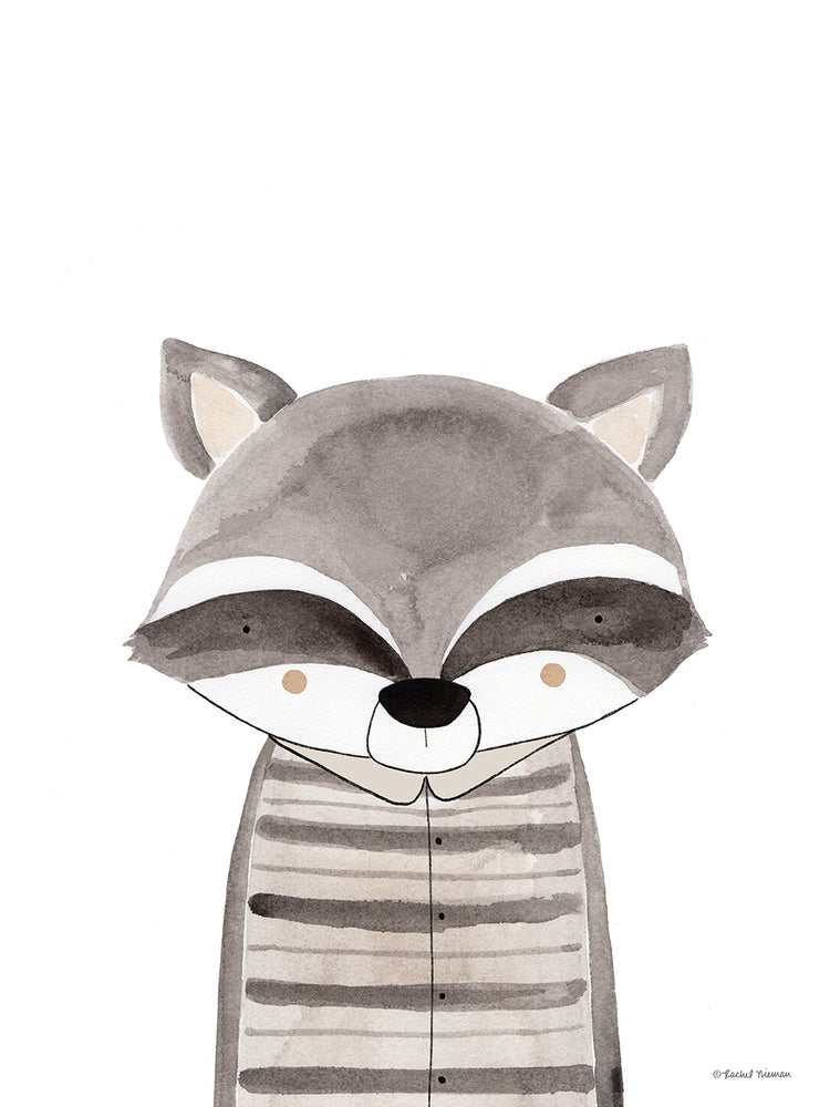 Ryder the Raccoon