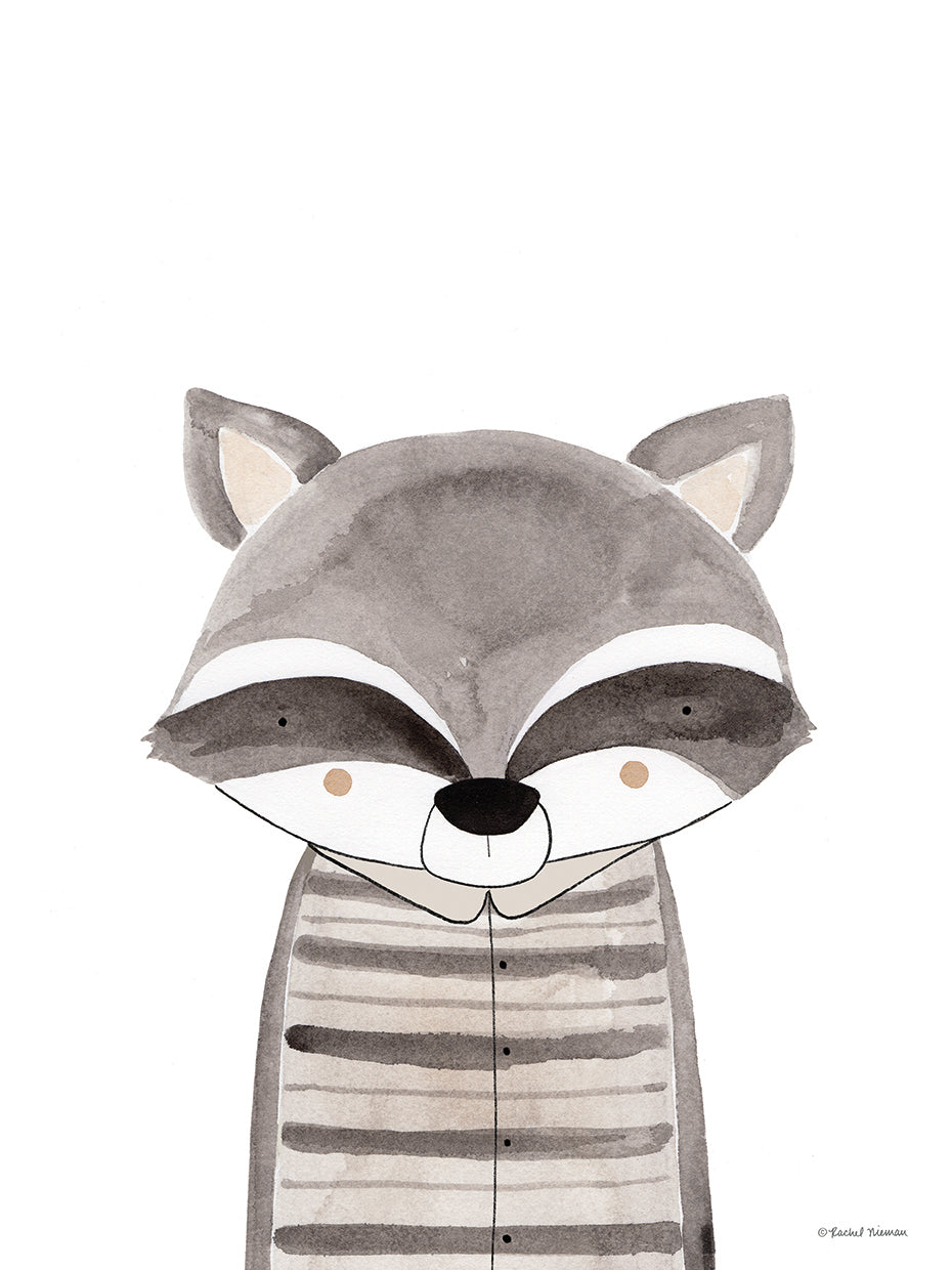 Ryder the Raccoon
