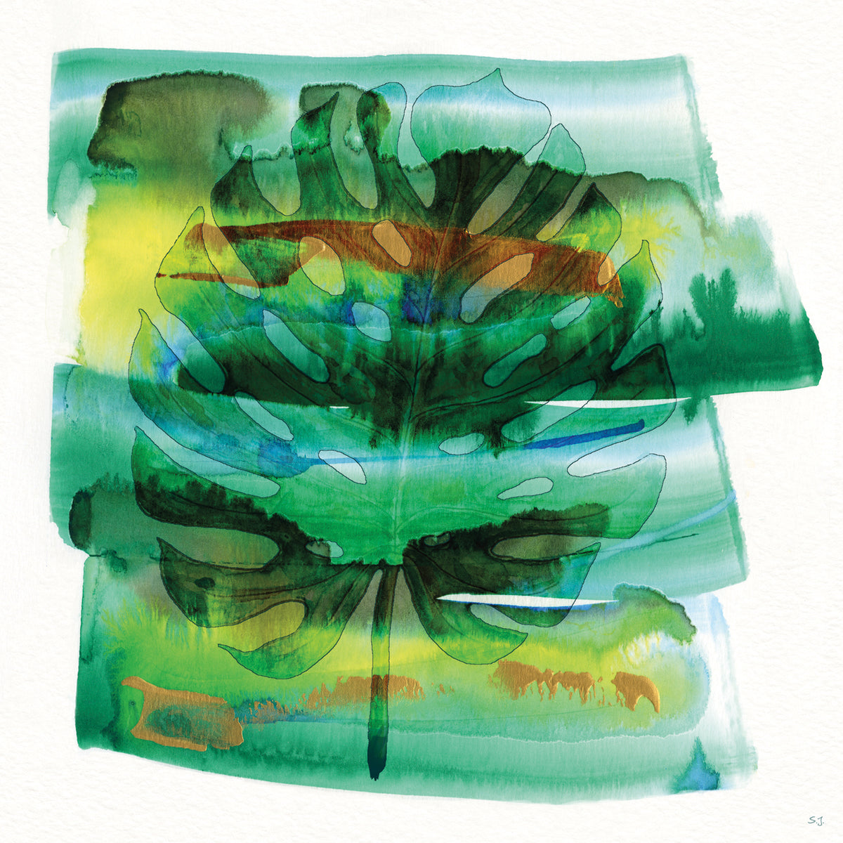 Tropical Dream I