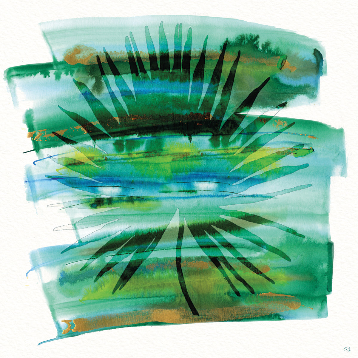Tropical Dream II