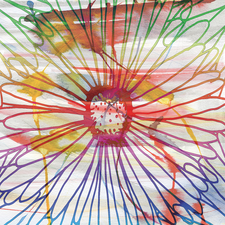 Tropical Adventure I