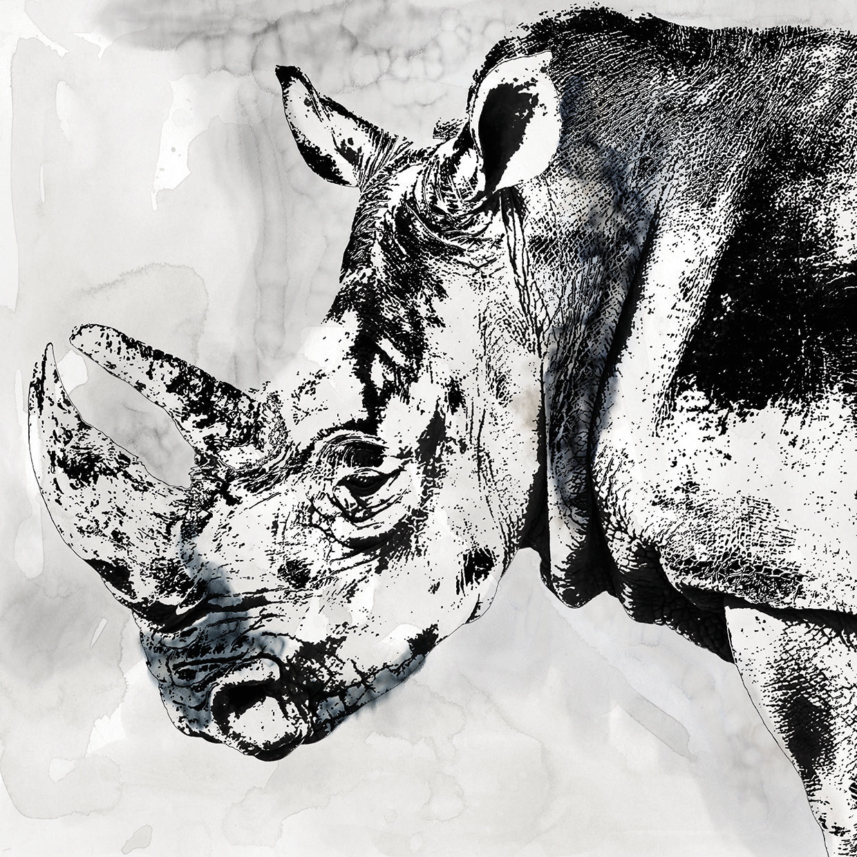 Rhino Wash