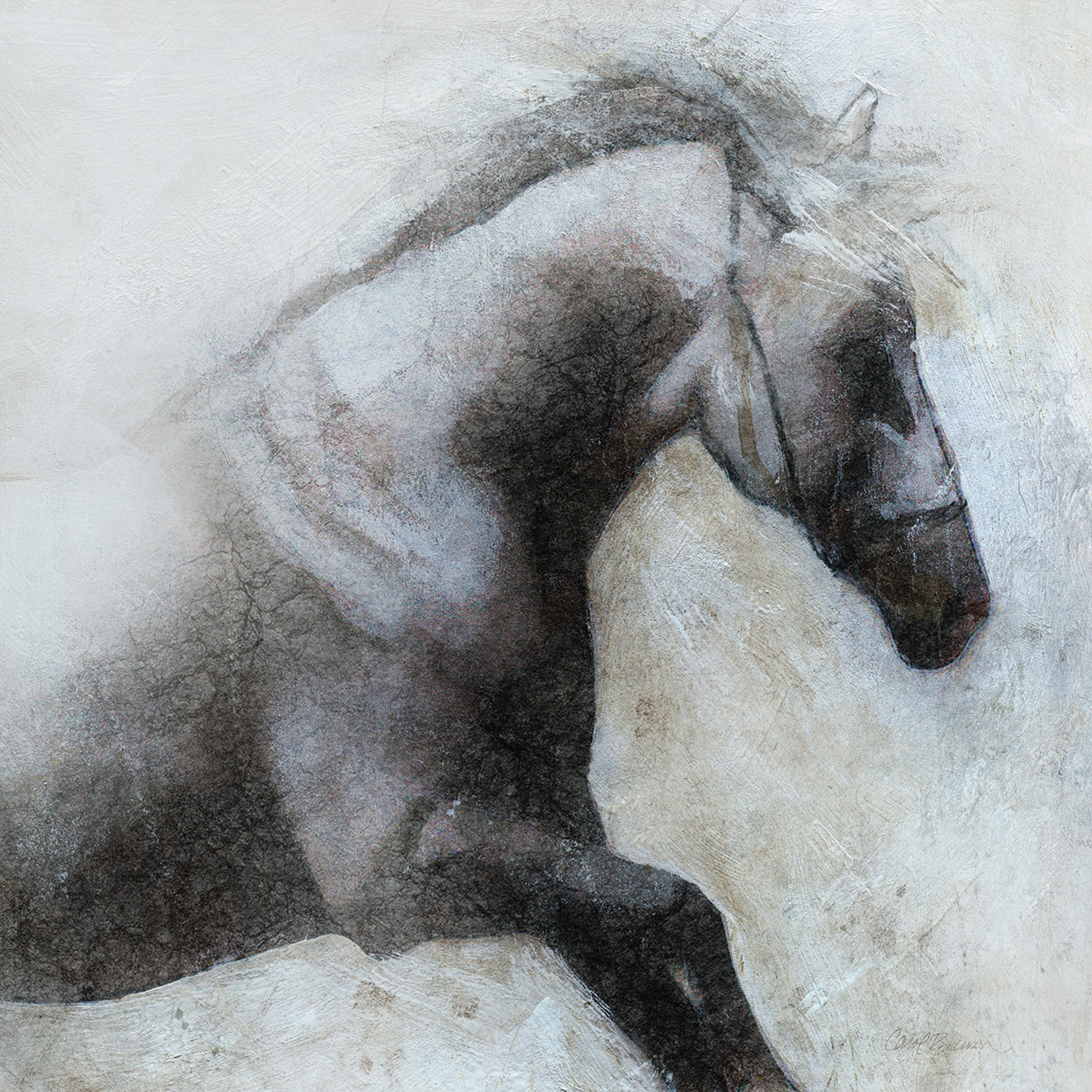 Misted Shadows