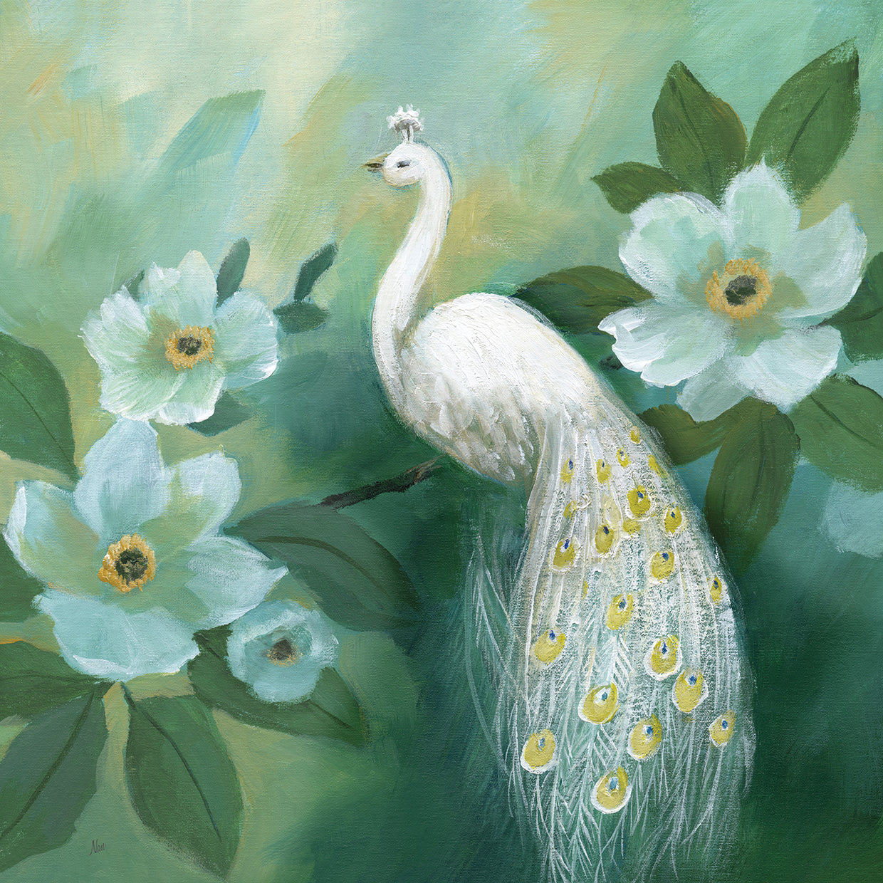 Proud Peacock