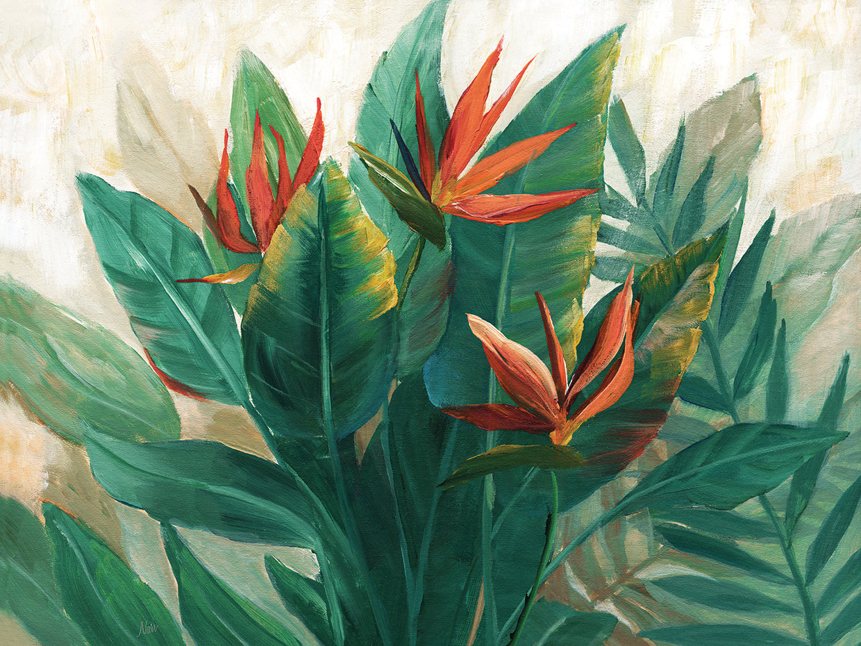 Birds of Paradise