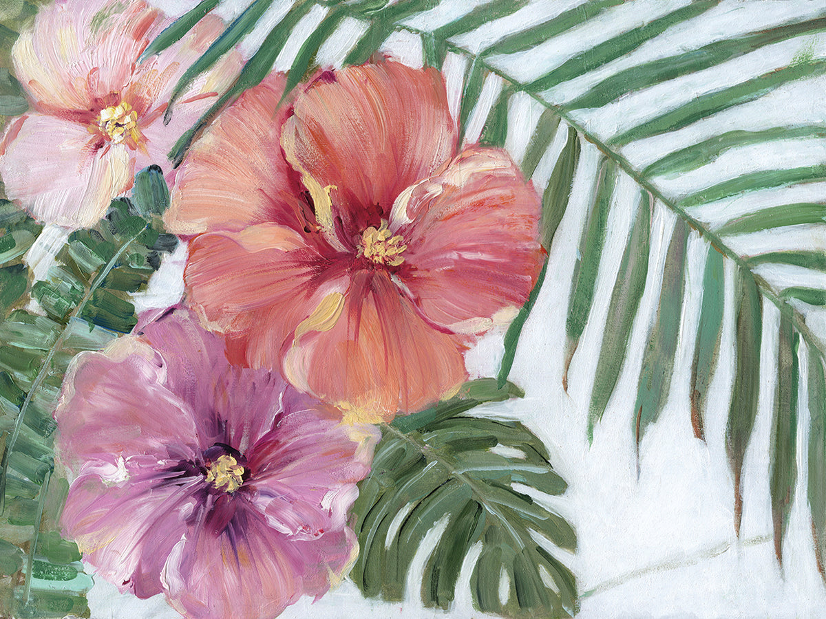 Blooming Hibiscus