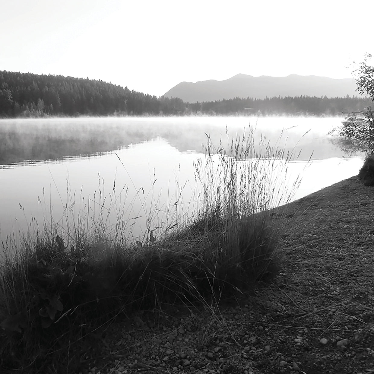 Misty Lake