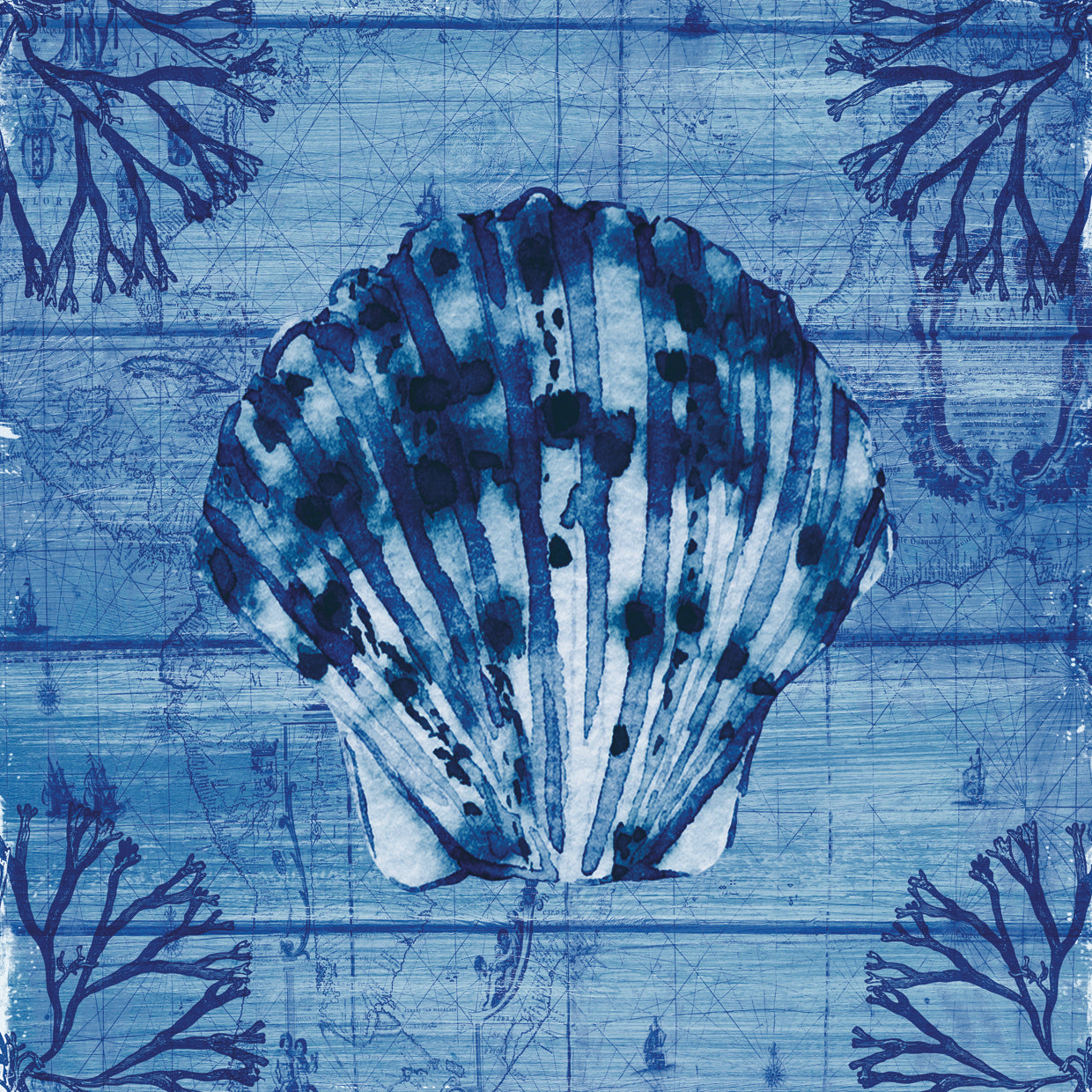 Indigo Scallop