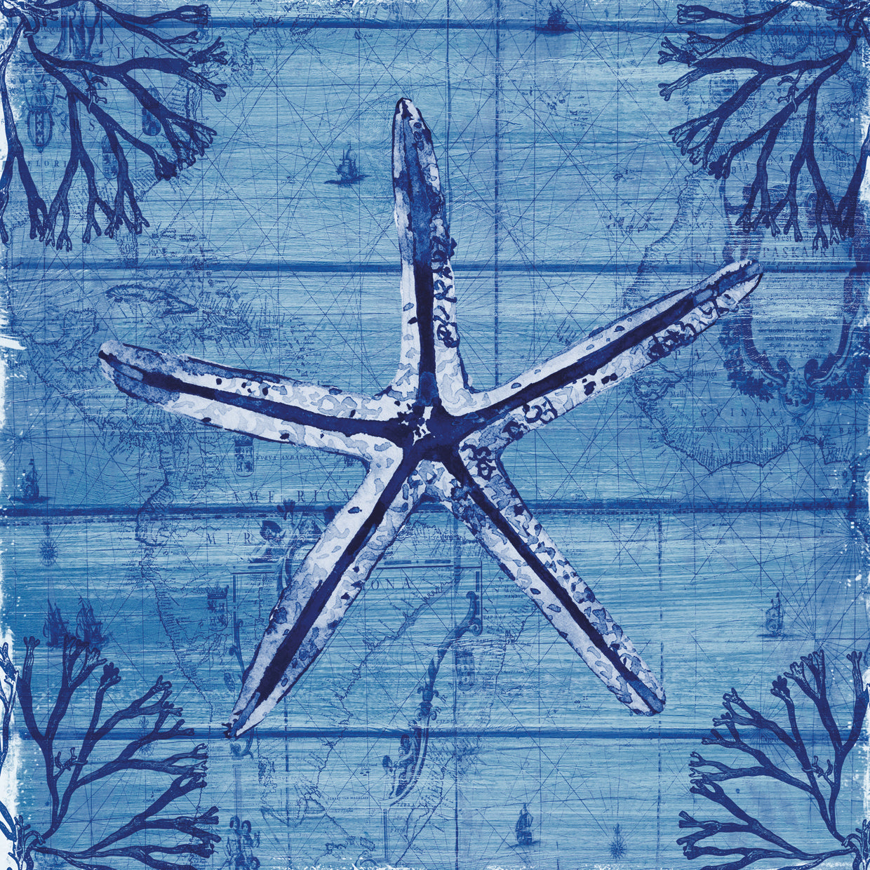 Indigo Starfish
