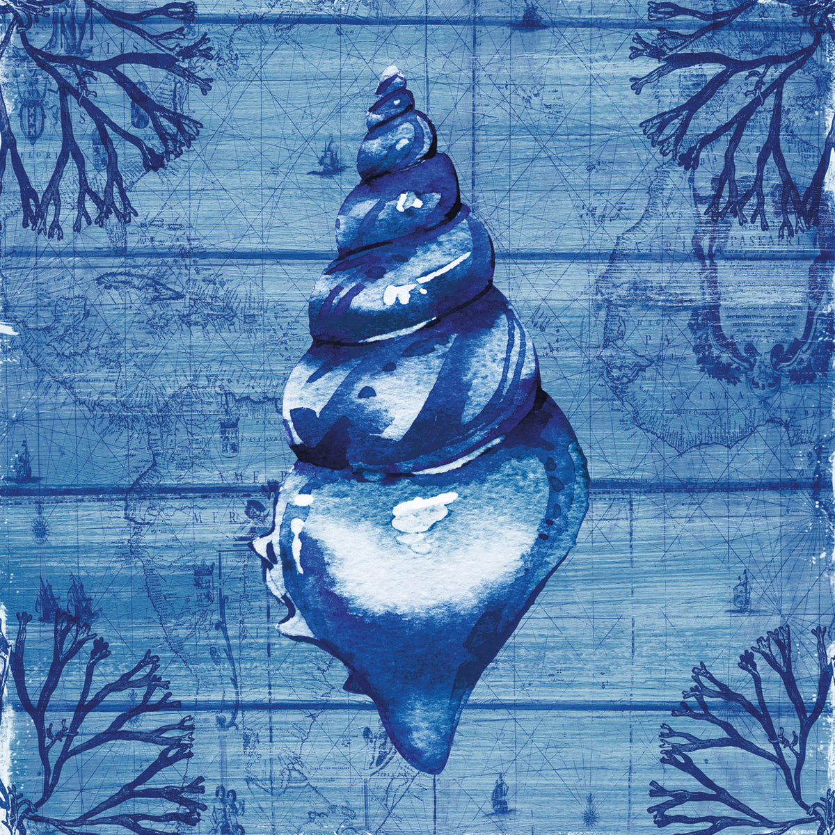 Indigo Conch