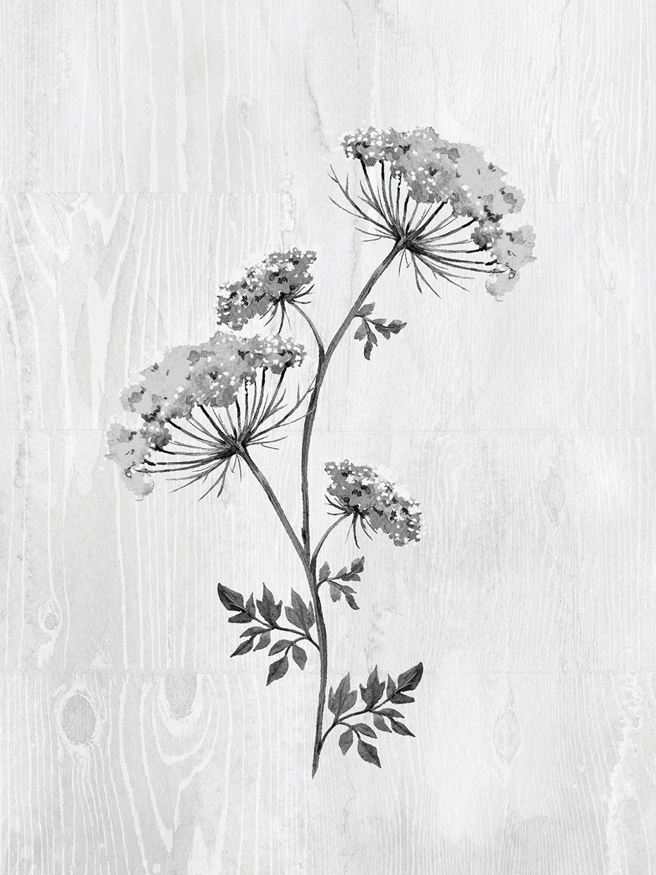 Neutral Meadow III