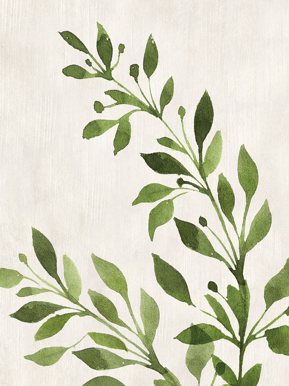 Botanical Wash I