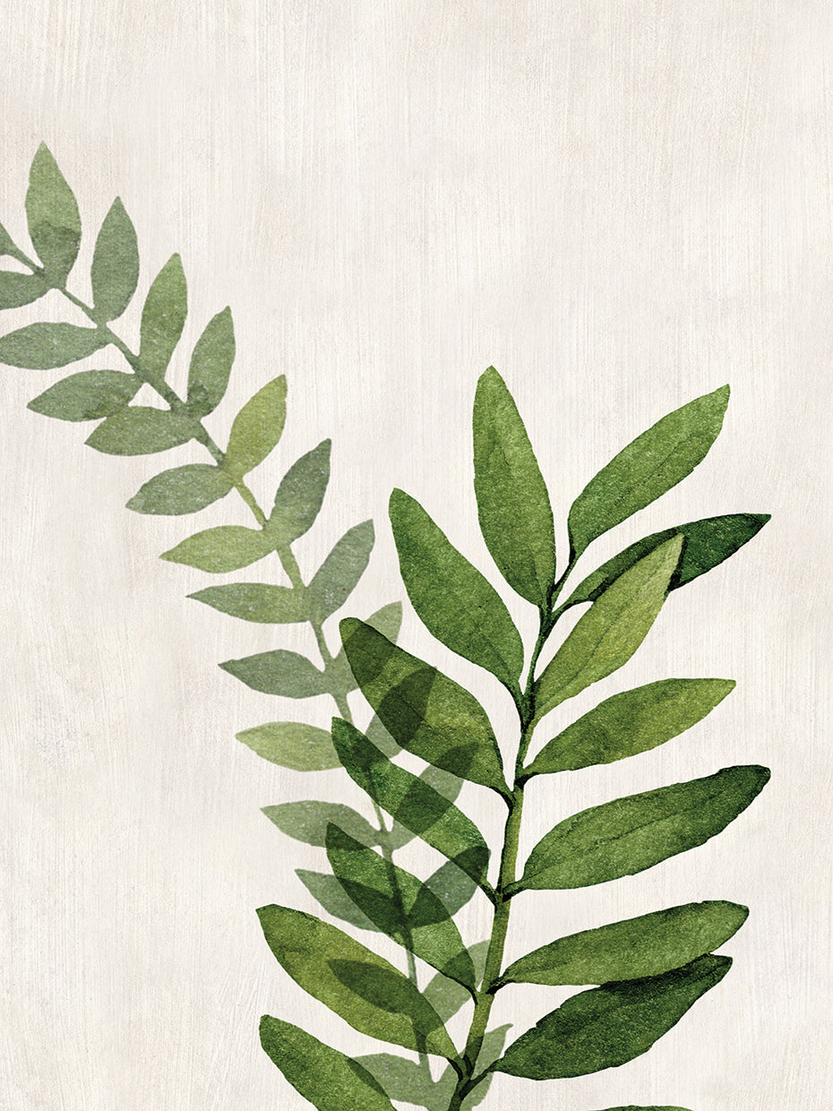Botanical Wash II