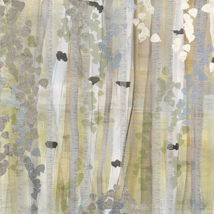 Spring Birch Grove I