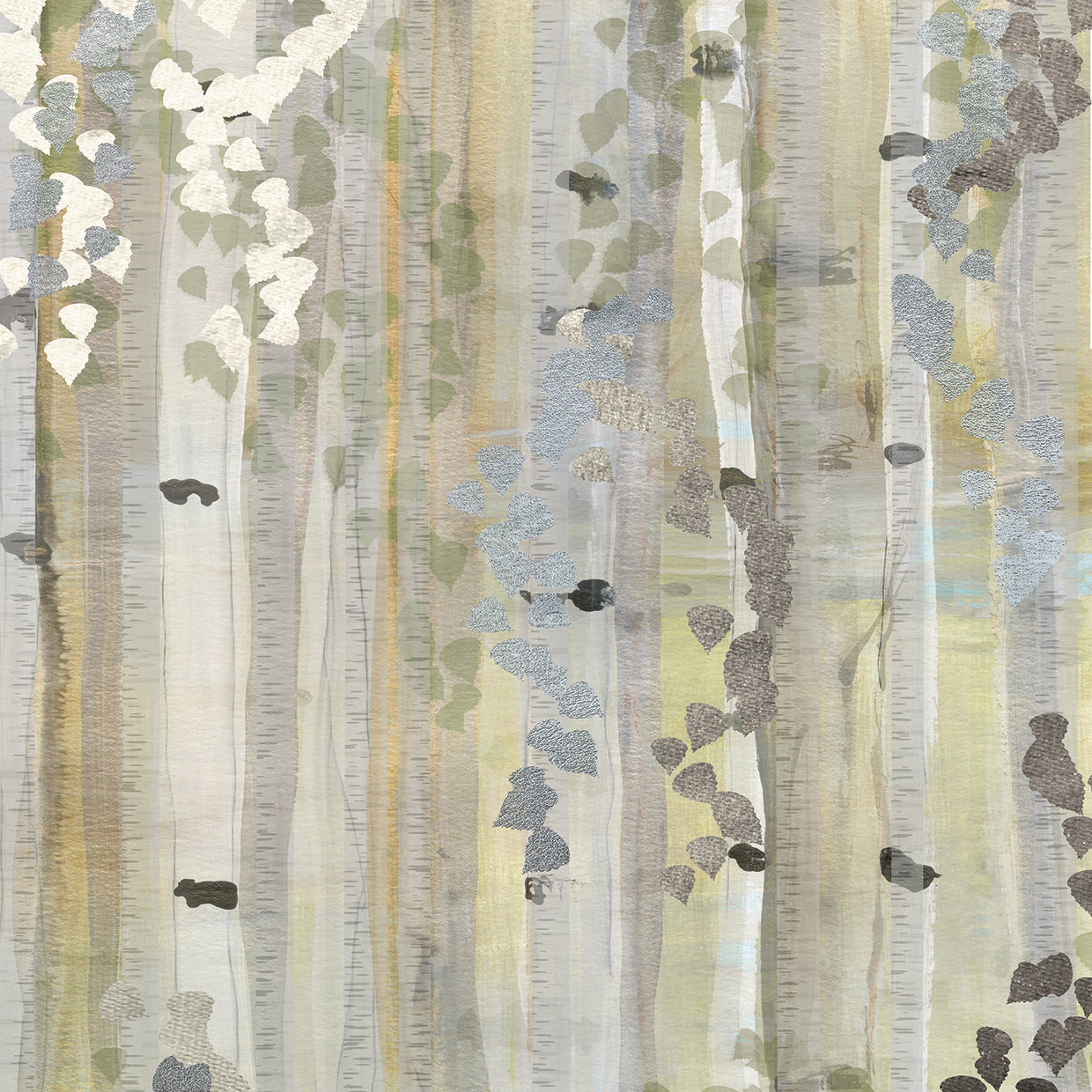 Spring Birch Grove II